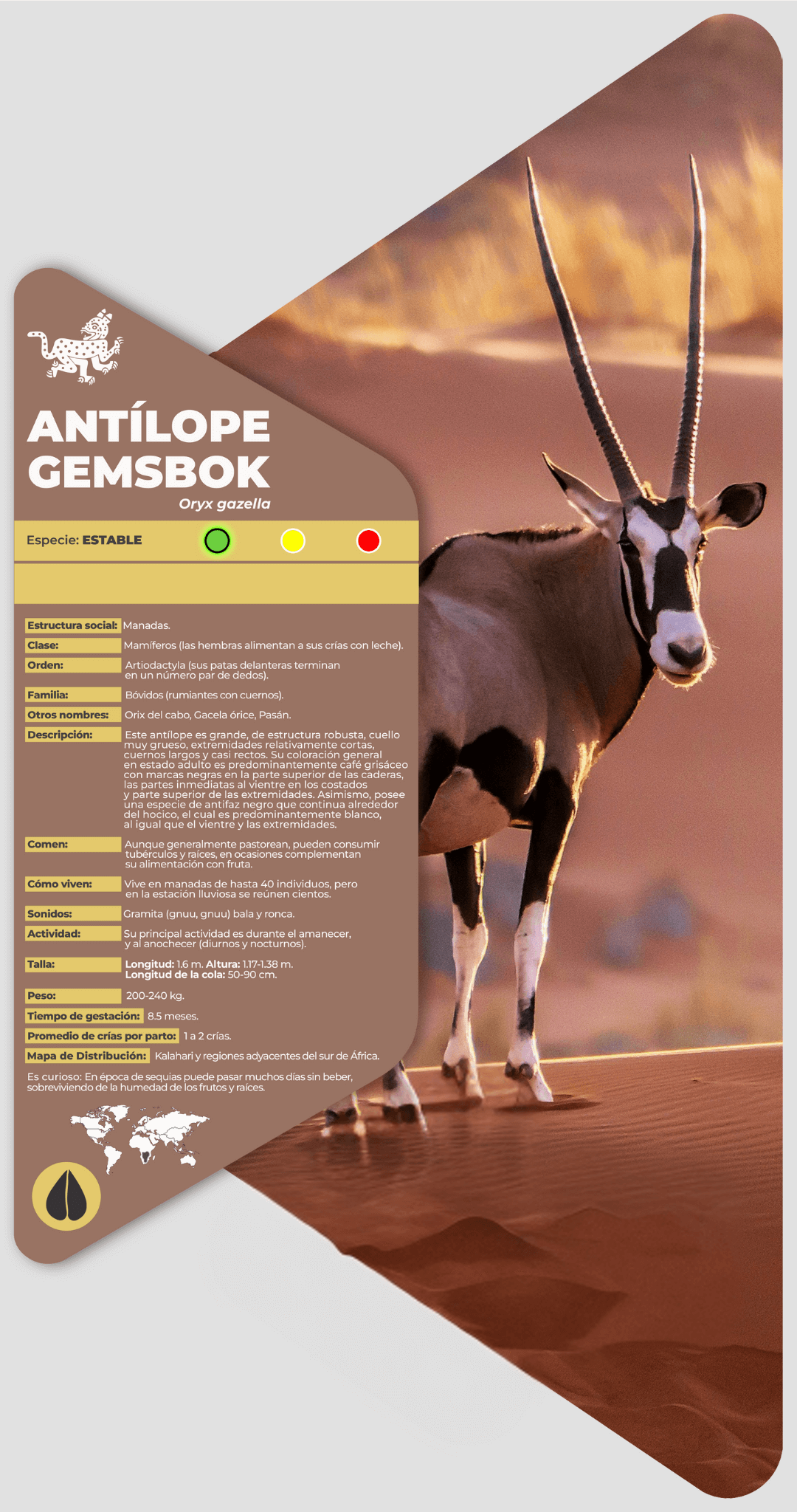 Antílope gemsbok