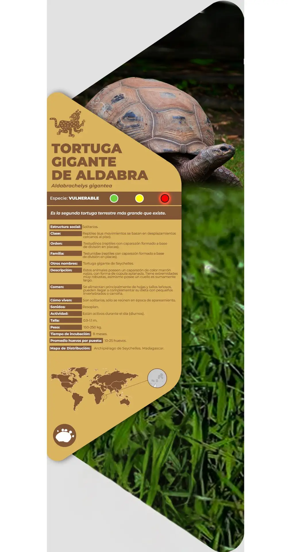 Tortuga gigante de Aldabra