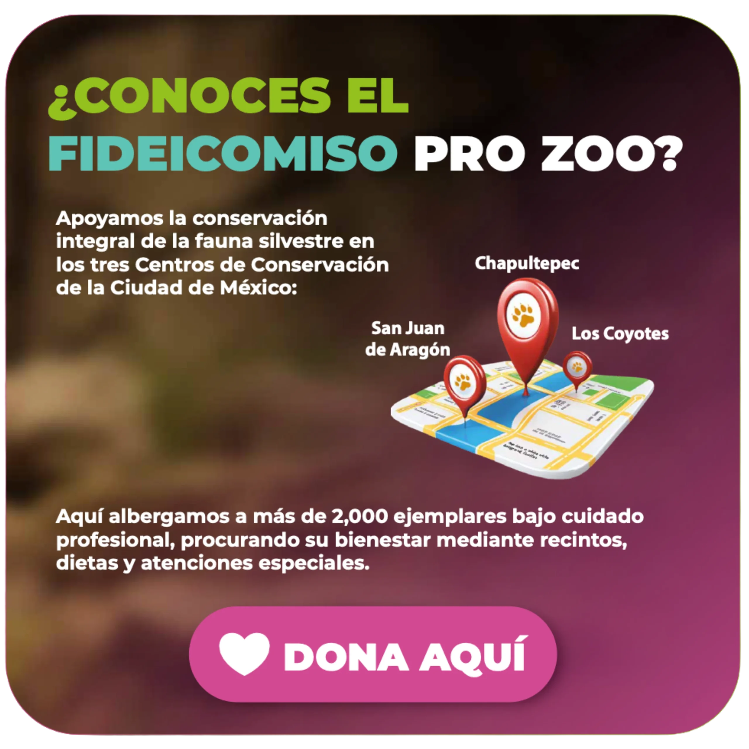 Donar al Fideicomiso Pro Zoo